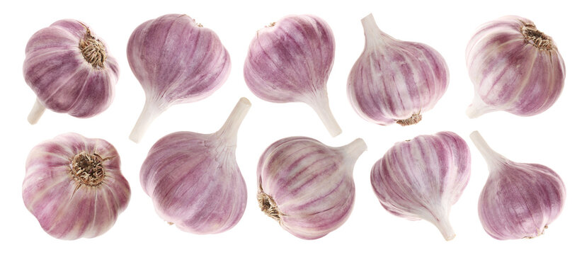 Fresh garlic bulbs isolated on white, set