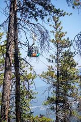 Scenic Gondola up the woods