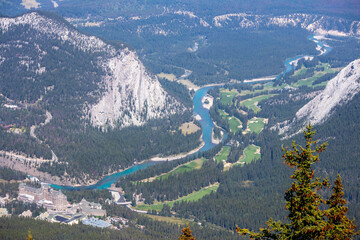 top view of the river and forest