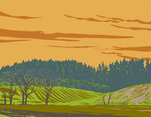 WPA poster art of the hillside vineyards in the Napa Valley wine region north of San Francisco, in California, United States USA done in works project administration or federal art project style.
- 732150309