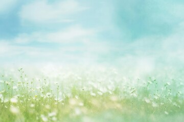Obraz na płótnie Canvas abstract flower, pastel color, daisy field, spring concept background. 