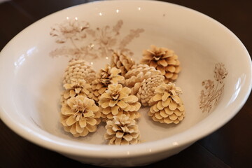 white pinecones 
