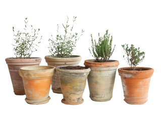 Vintage Plant Pots