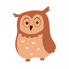 cute owl illustration isolated on white background