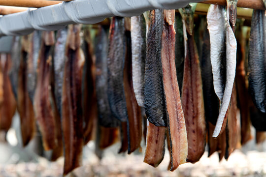 View of drying saury and herring with the wind at the seaside