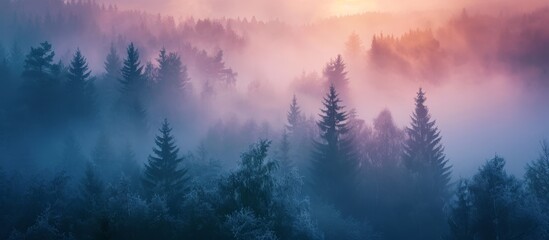 Fototapeta premium A picturesque natural landscape of a foggy forest with trees, surrounded by an atmospheric dusk and a red sky at morning in the background.