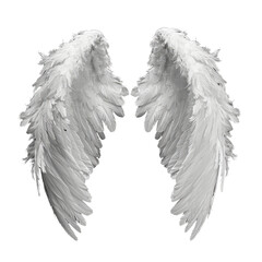 Wings of an angel, isolated on a white background Silver feathers create a captivating illustration, featuring elements of art and design Symbolizing flight, love, and ethereal beauty