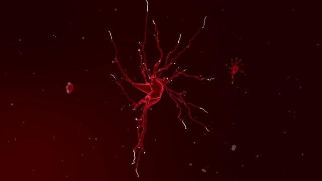 Nerve Cells Signal Pass