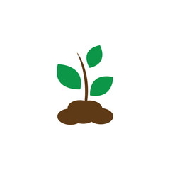 sprout logo icon