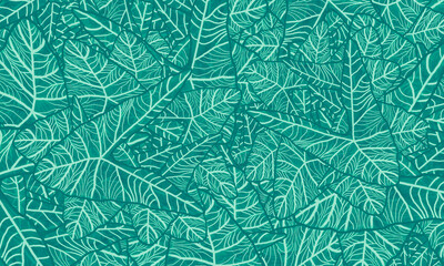 green tropical leaves spring  nature  background