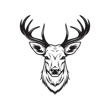 Deer head isolated on white Stock Illustration, Deer head vector