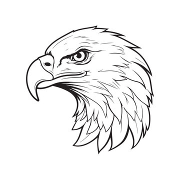 Mascot Head of Eagle Isolated on white background, bald eagle illustration