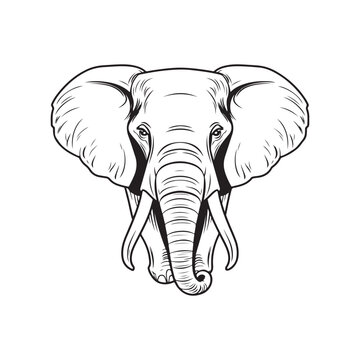Elephant illustration, Elephant Vector Images