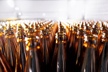 Closeup empty glass bottles of beer move on conveyor line on sunlight background. Concept banner...