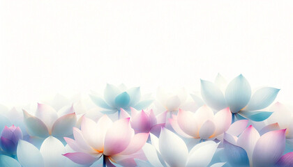 蓮の花の背景素材　Lotus flowers on white background