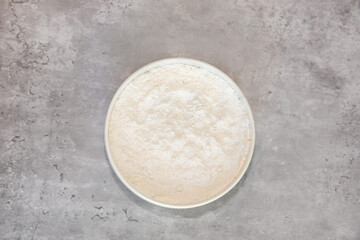 A white bowl with sugar free and zero calorie confectioners sugar replacement.