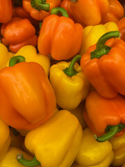 Display of yellow and orange bell peppers