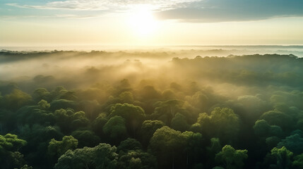Amazon forest landscape at sunset or sunrise, aerial shot with soft fog in the forest below and sun...
