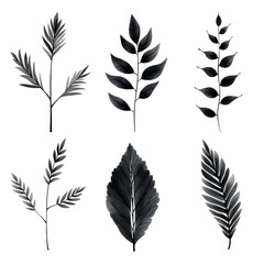 a set of plant ornaments