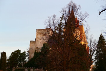 in den Sträuchern versteckt, Burg Wartenstein