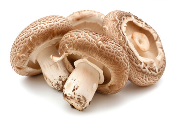 Shiitake Mushroom on a white background  - 732285168