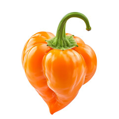 Fiery Orange Habanero Pepper Isolated on Transparent or White Background, PNG
