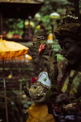 Balinese temple sebatu holy water spring