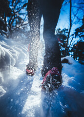 close up of shoes with spikes kicking up snow while hiking in winter