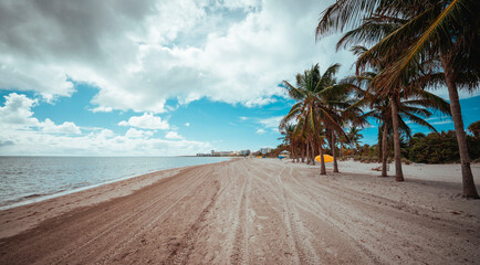 beach with coconut trees road miami