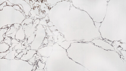Obraz premium A high-resolution image of white marble with natural grey veins, perfect for luxurious background or design elements