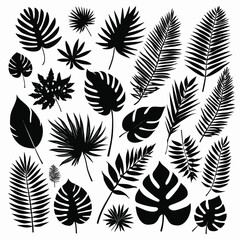 Exotic tropical leaves set silhouette collection vector illustration