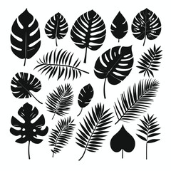 Exotic tropical leaves set silhouette collection vector illustration
