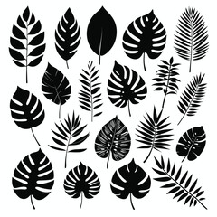 Fototapeta premium Exotic tropical leaves set silhouette collection vector illustration
