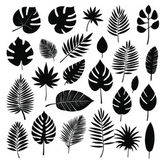 Exotic tropical leaves set silhouette collection vector illustration