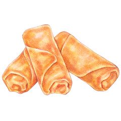 chinese spring roll watercolor style, snacks and appetizers food