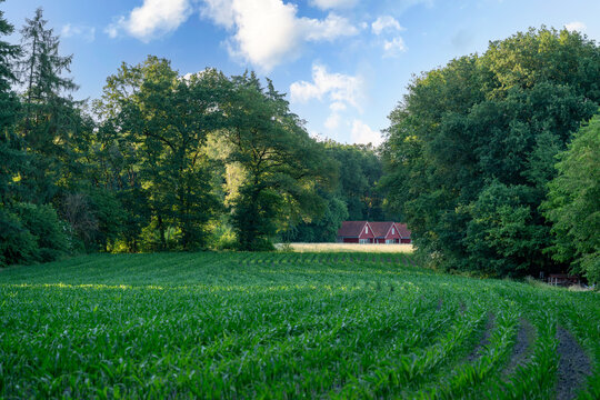Holiday homes at the edge of the Veluwe in The Netherlands near Loenen