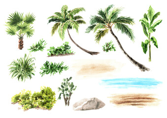 Tropical plants set.  Landscape design element. Hand drawn watercolor illustration isolated on white background © dariaustiugova