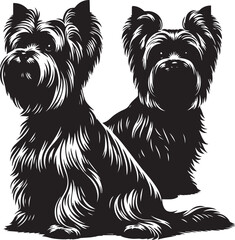 Yorkshire Terrier sitting silhouette