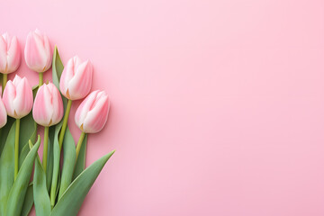 Beautiful pink tulip flowers on side of pastel pink background with copy space