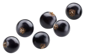 Fresh organic ?urrant isolated