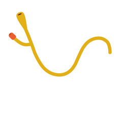 Medical Urinary Catheter 