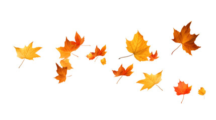 yellow leaves falling down isolated on white transparent png