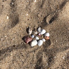 A beach jewel