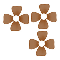 Three Brown Flowers Isolated on White