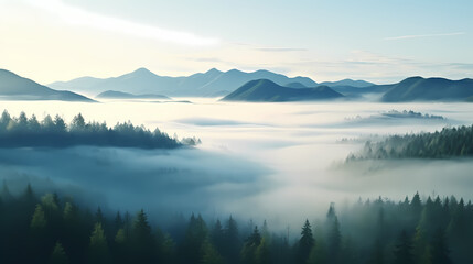 Obraz premium Forest landscape, exotic foggy forest