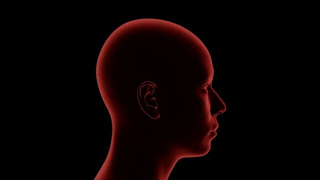 Stylized 3D Human head rotates 360 degree on black background. 4k Loop. Matte Background included.