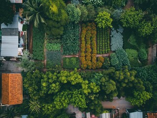 Top-down view of a community garden or urban green space