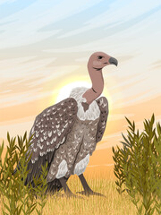 African vulture sits in tall dry grass in the savannah. Dawn in Africa. wild carrion birds. Realistic vector vertical landscape