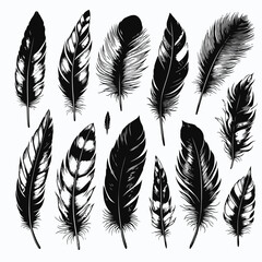 Set of bird feathers isolated on white. Vector. Creative concept ink