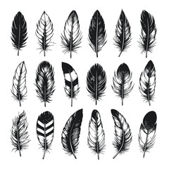 Set of bird feathers isolated on white. Vector. Creative concept ink